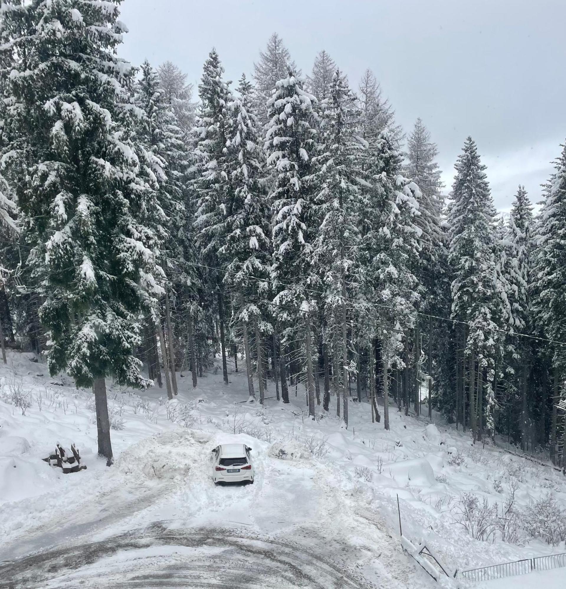 Appartamento Sole Alto Marilleva Mezzana  Esterno foto